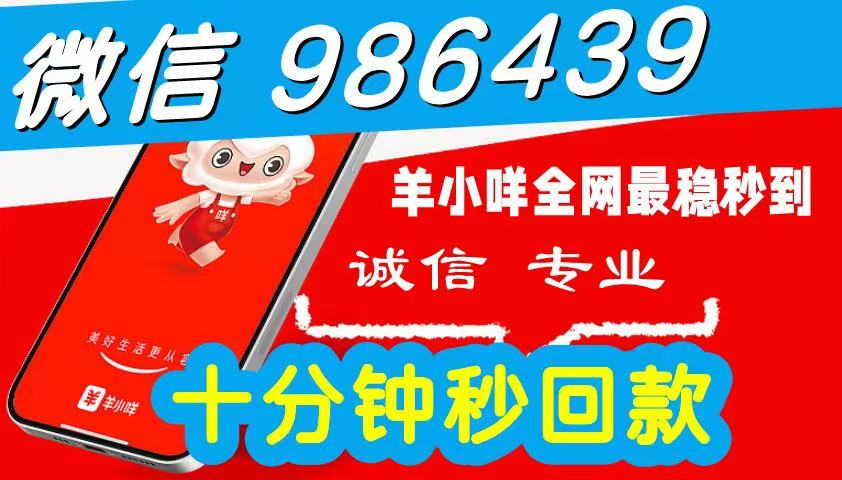 2026 羊小咩便荔卡包额度如何套出来呀（带大家详解便荔卡包套现的6个安全步骤）